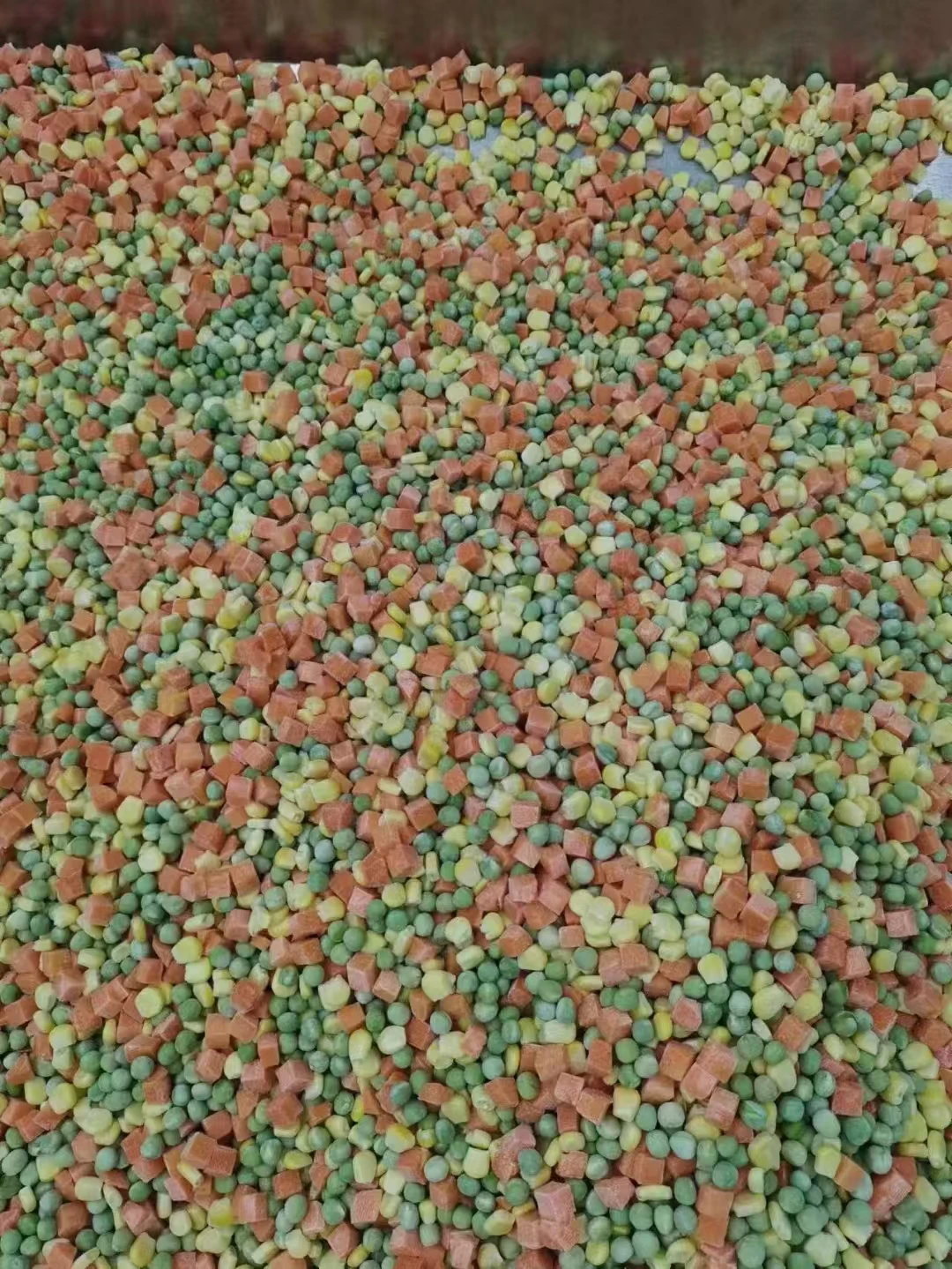 Professional Fresh Iqf Ready To Eat Vegetables  Frozen Edamame  Frozen Mixed Vegetables