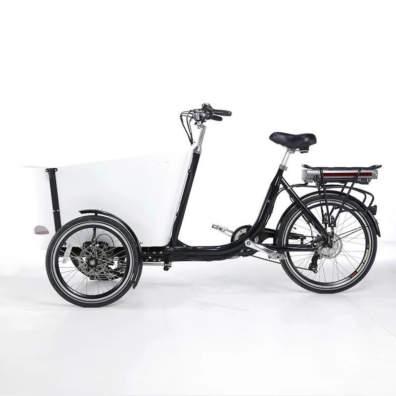 2022 New Design Velomobile Trike Electric Cargo Bike Electric Driving Type 250W Motor Three Wheel Cargo Tricycle