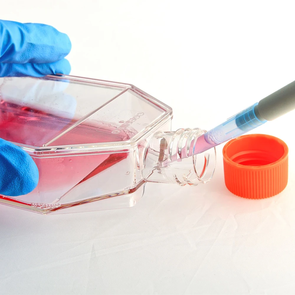 Laboratory Plastic Bio 50ml 25cm2 Microbiological Cell Culture Media