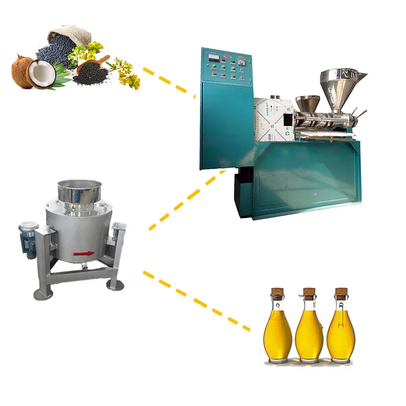Automatic Avocado Palm Sunflower Oil Extractor Cold Oil Press Machine