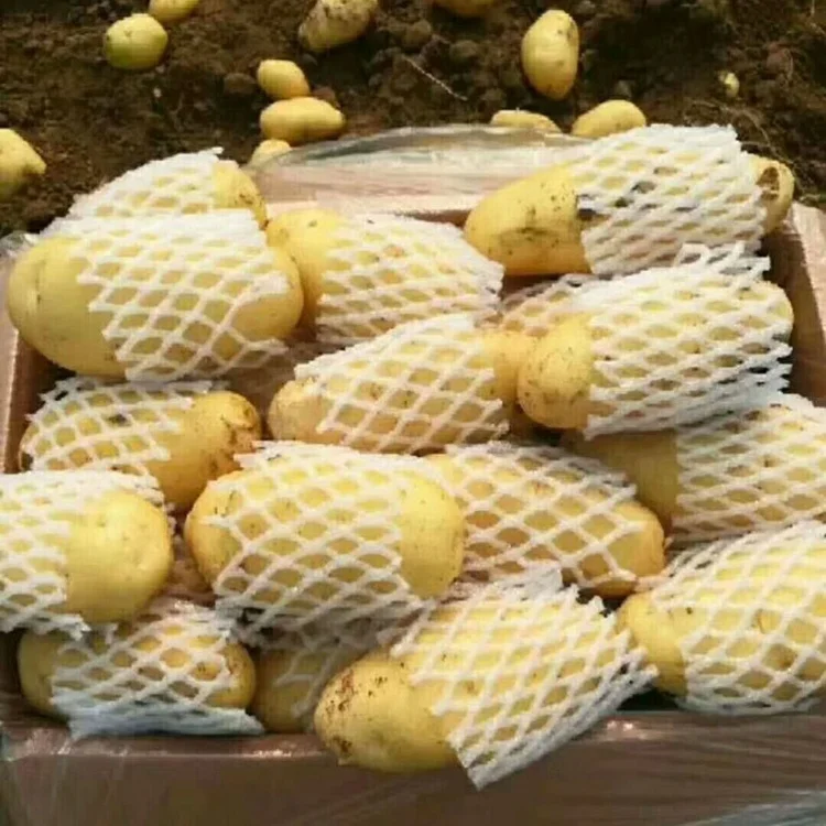 Новый Урожай свежего картофеля заводская цена картофель свежая