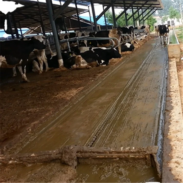 Siemens Control System Manure Scraper For Dairy Cow Farm , Manure Cleaning Machine