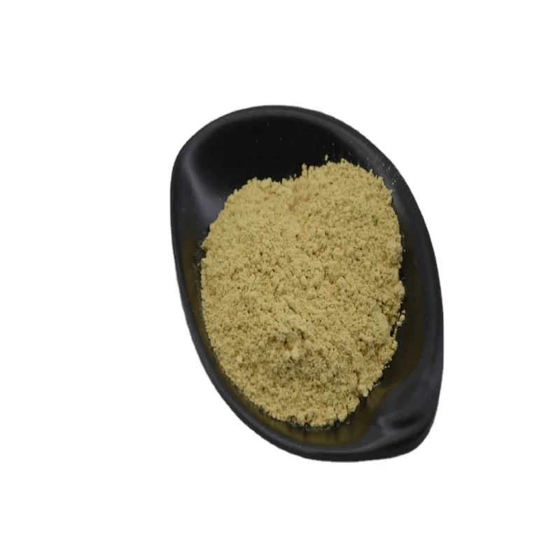 Price Powder  Granular Extract Dihydrate Anhydrous 50%  Bulk Quercetin