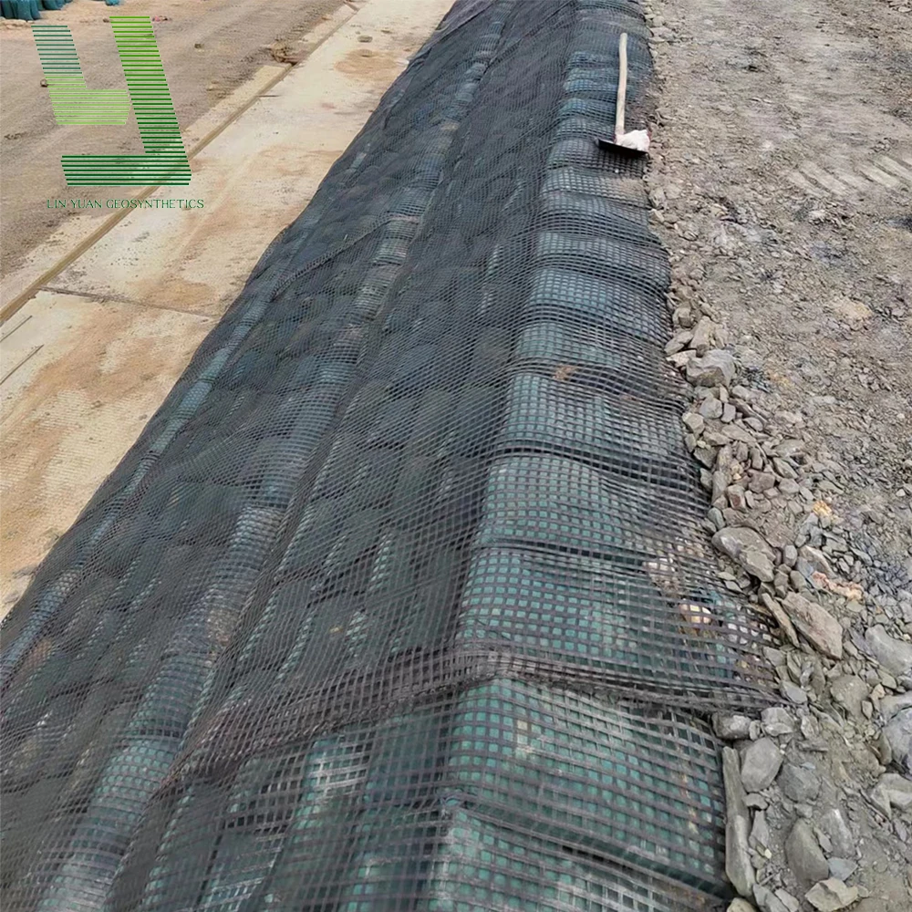 Asphalt Geogrid Chinese Factory Price Warp Knitting Geogrid Manufacturers Sell Asphalt  Polyester and Pet Geogrid