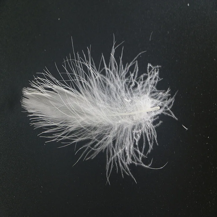 Good price New design 4-6cm white duck feathers for sofa and pillow