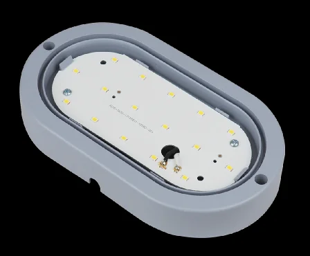 
IP54 led ceiling light 6W/12W ceiling lamp CLASS II AC220-240V PC/ABS modern ceiling light For bedroom Living Room 