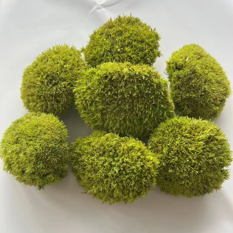 High Quality Real Natural Soft Everlasting Preserved Moss round  wall hanging framed artificial moss balls for decoration
