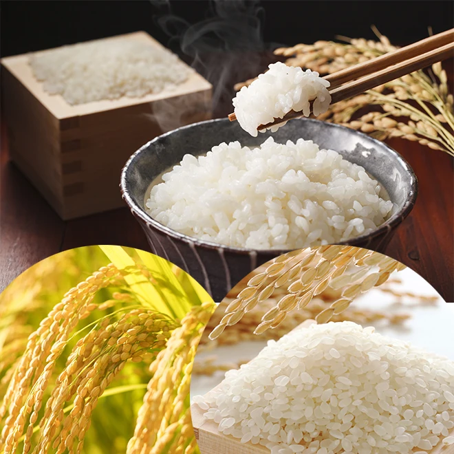 Top-quality packaged mineral-rich groundwater natural rice paddy seeds