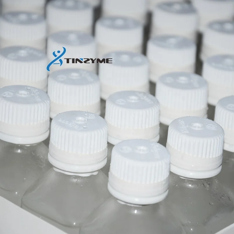 Ribonuclease R, RNase R