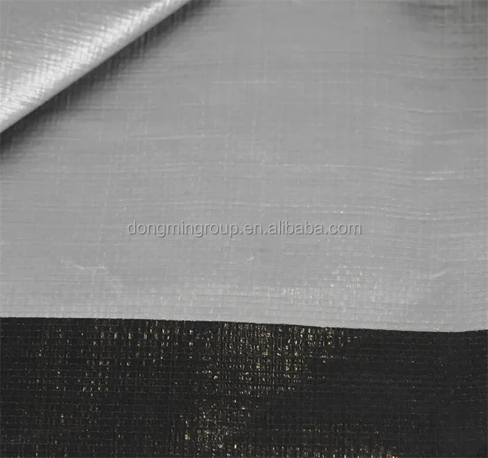silver (15).jpg