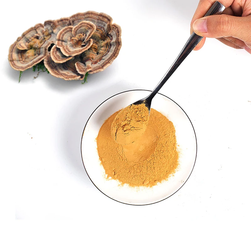 Plant Extract Nutritional Supplement Coriolus Versicolor Organic High Quality Pure Turkey Tail Mushroom Extract