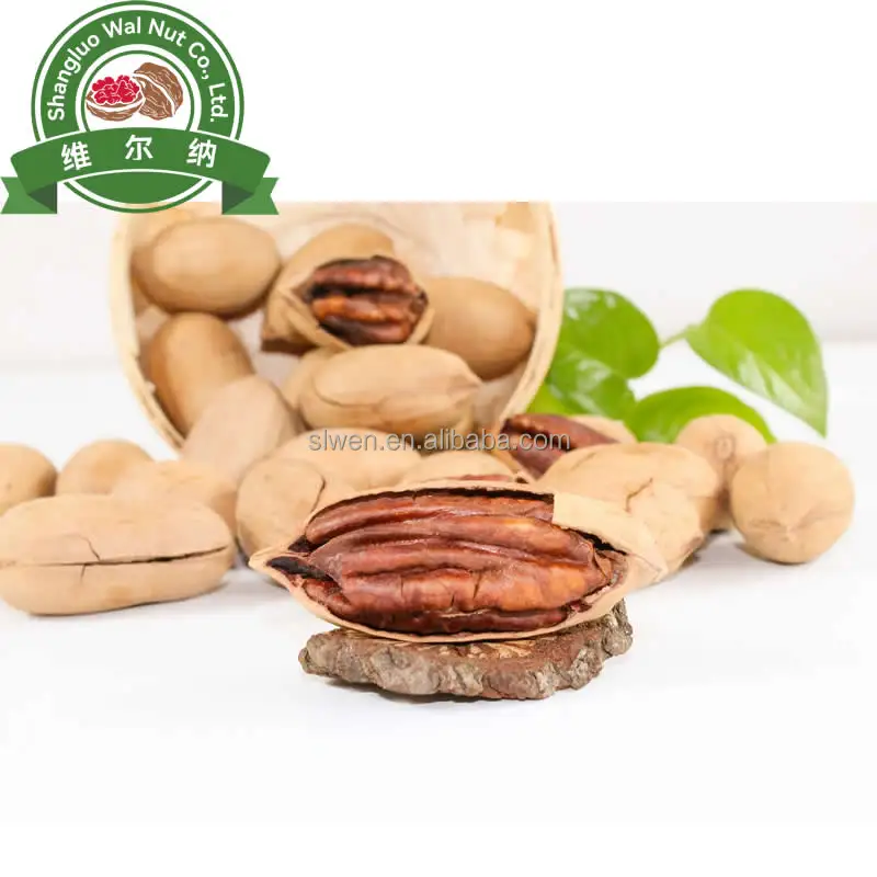 Good price high quality raw roasted Pecan kernel pecan nut