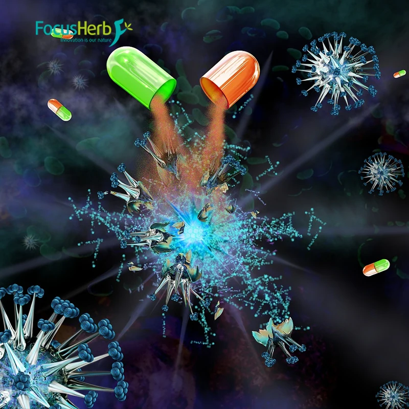 
Focusherb Oraganic Agaricus Bisporus Mushroom Polysaccharides 