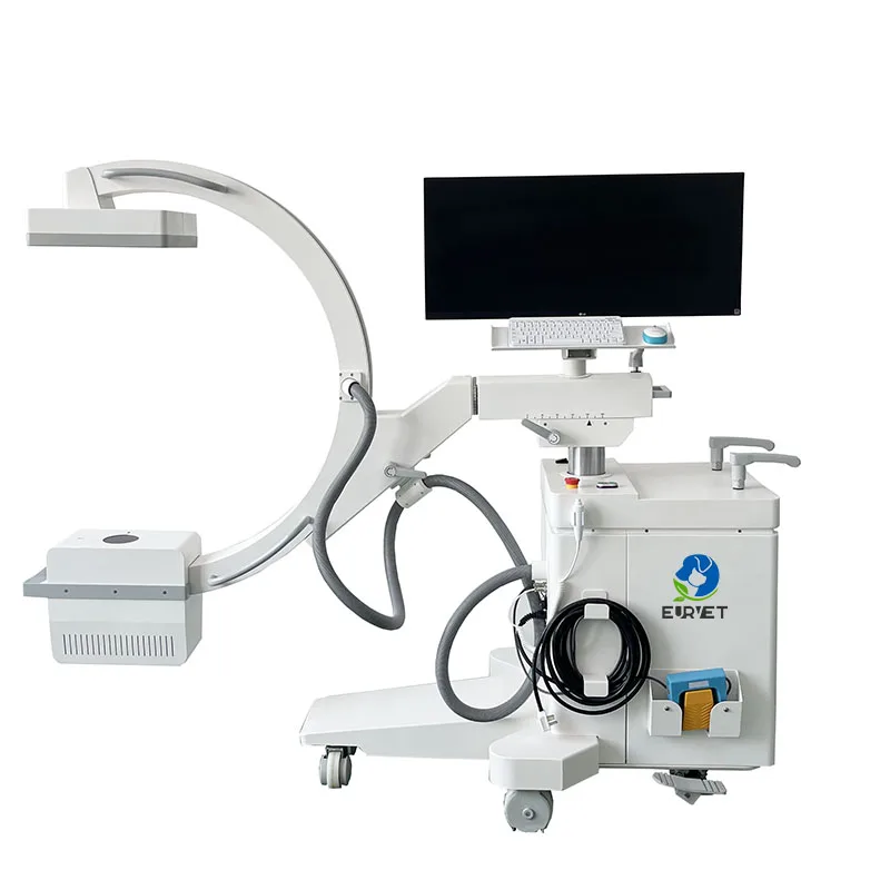 EUR VET High quality 5KW C Arm X Ray Machine factory Price Veterinary Equipment Medical Digital C-Arm Machine C-arm DR System