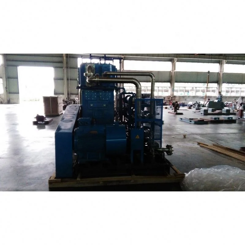 Fashion Attractive Design Competitive Price Cng Compressor Natural Gas Filling Station