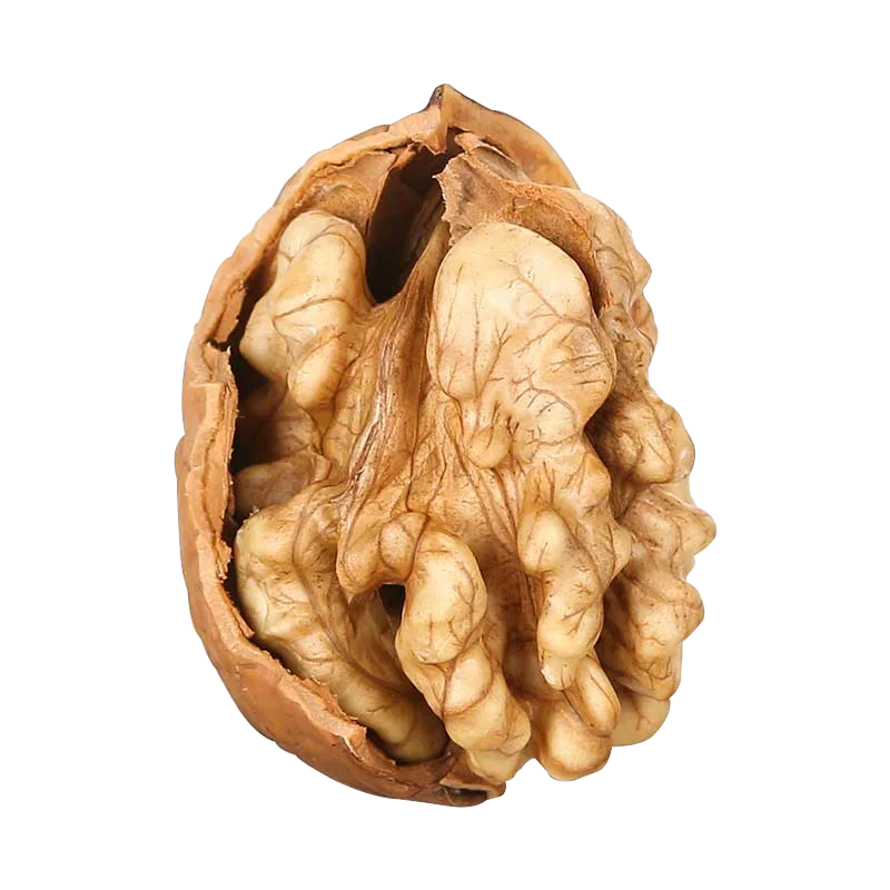 
Chinese wholesale market price cheap dried fruit organic Shell Walnuts in shell 