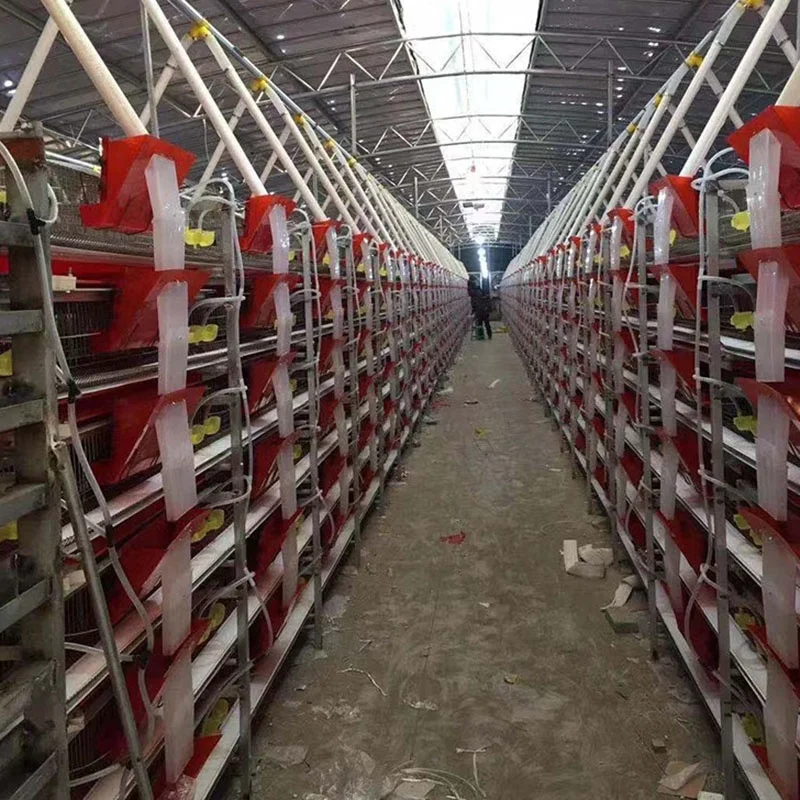 Automatic/manual Design Battery Commercial Quail Breeding Cage
