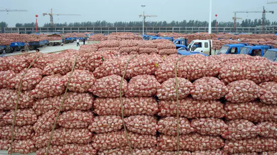 Factory direct garlic cheap new garlic Chinese garlic