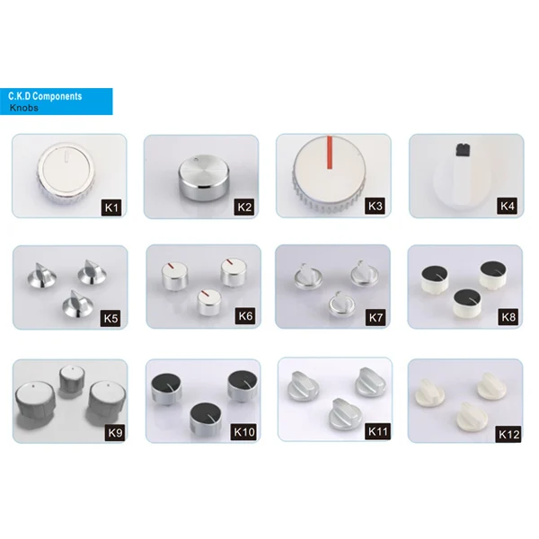 2021 new design hot water heater  propane gas instant water heater wall mounted gas geysers  SKD/CKD  gas water heaters