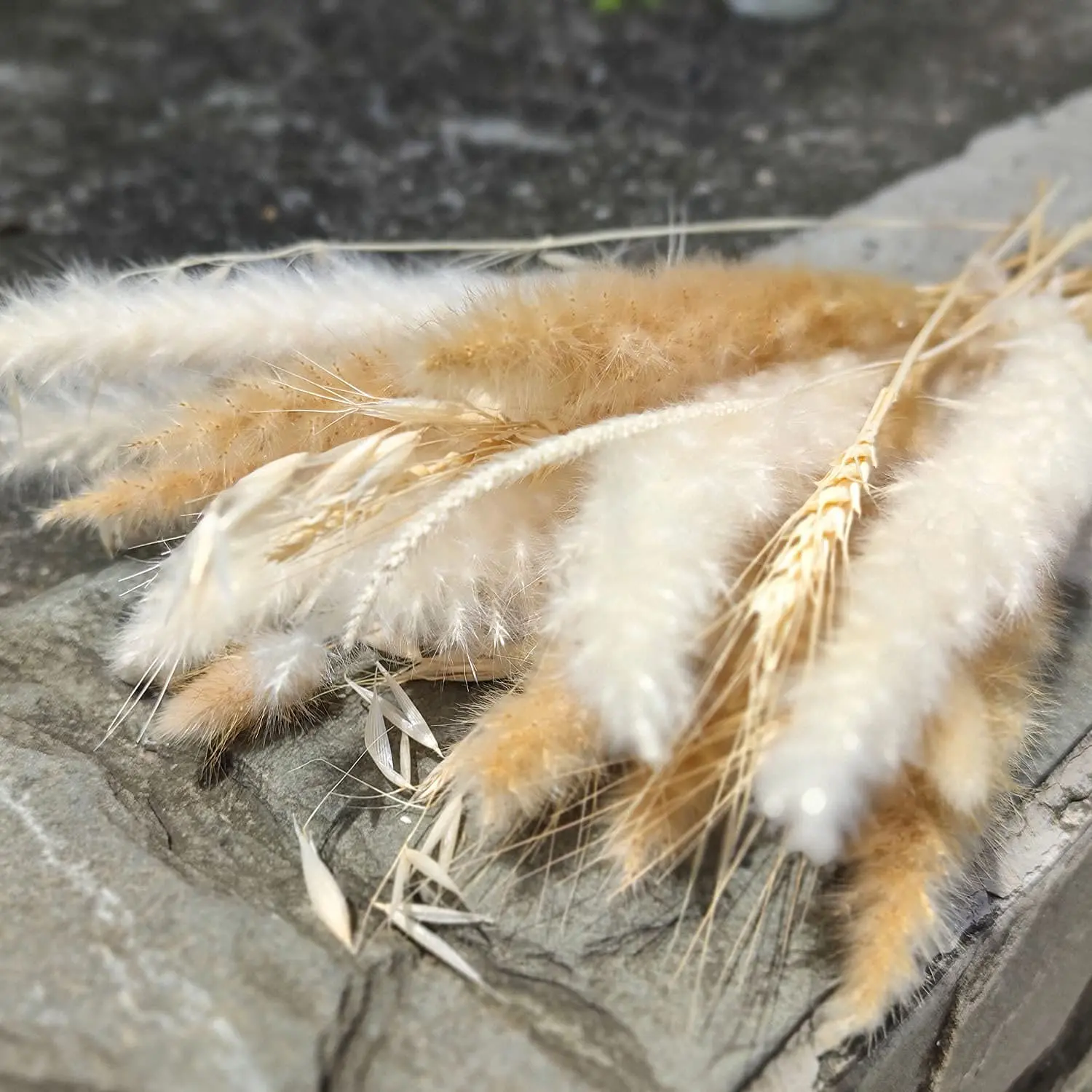 Wedding Centerpieces Decorative Natural Dry Wheat Bunches Grass Stalks Decor Sheaves Dried Wheat Flowers