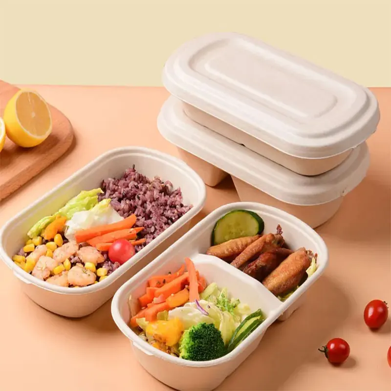 Biodegradable Bamboo Food Tray Disposable Takeaway Lunch Box with Compostable Lid for Parties and Food Containment