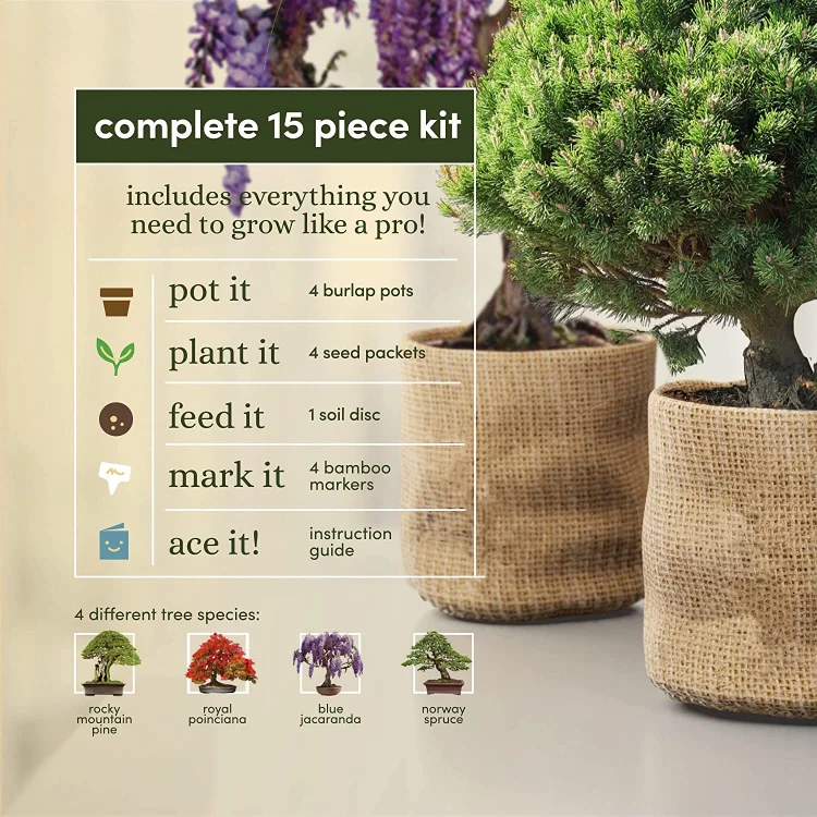 Unusual Christmas Gift Ideas Unique Diy Gardening Gifts Crafts Hobby Kits Tree Growing Garden Germinate Set Starter Kit Bonsai