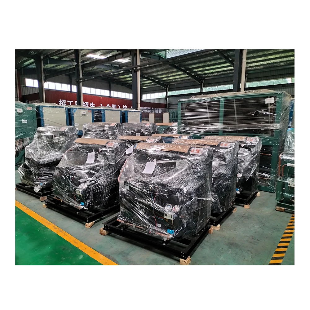 Factory Germany Air Cooled Piston Compressor Condensing Unit For Cooling System Refrigeration