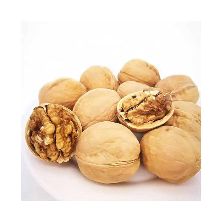 Raw Walnuts Kernels Organic Bulk Nuts Wholesale Premium Walnuts Walnut In Shell Dry Fruits For Sale From Vietnam Manufacturer