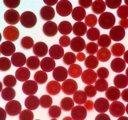 China Manufacturer Bulk 2% 5% 10% Astaxanthin 100% Natural Pure Astaxanthin Powder