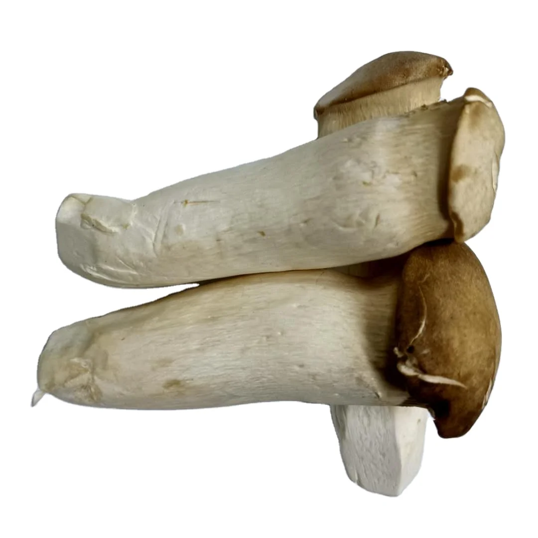 Frozen IQF King Oyster White Mushroom Pleurotus Eryngii Slice Sliced Bulk Organic Freeze Freezing Healthy Natural Wholesale