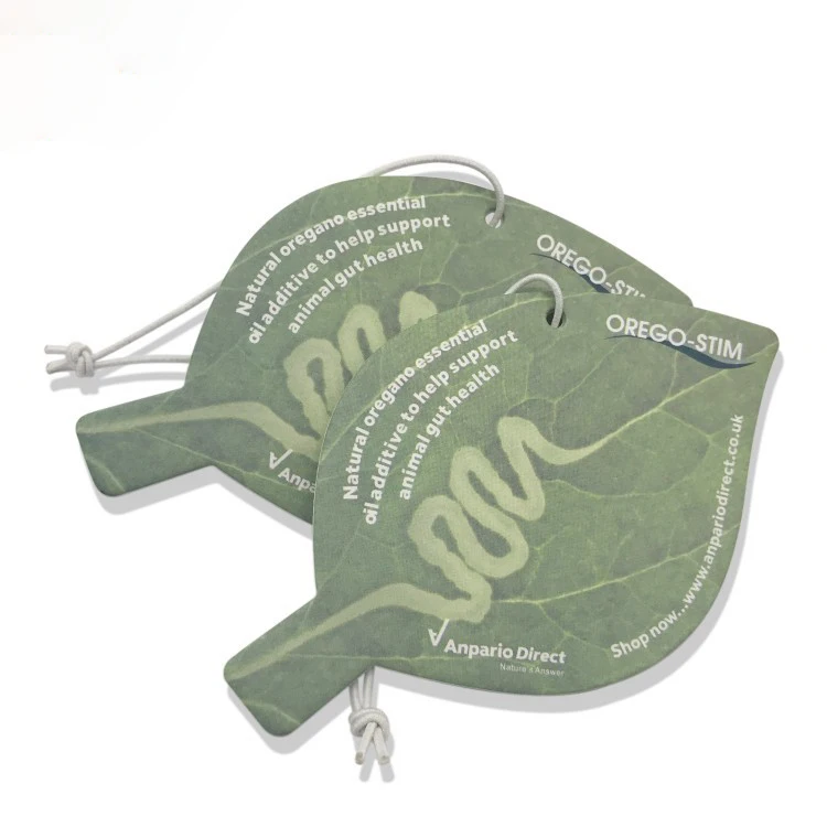 Card Car Cool Car Perfume Freshener Custom Air Freshener Car With Logo