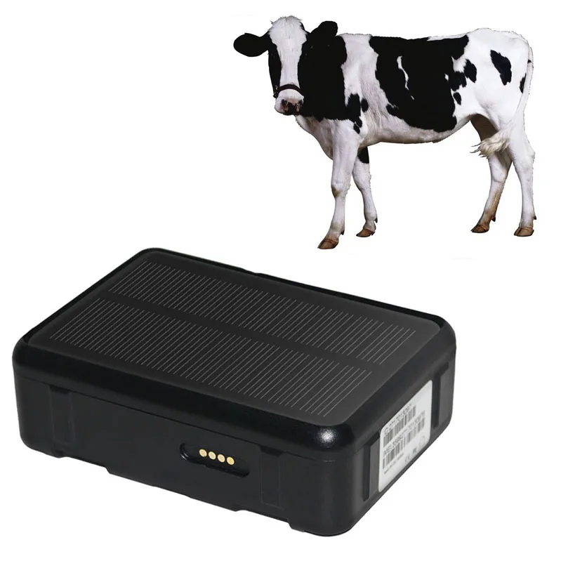 9000mAh 4G3G2G Livestock Anti-theft IP67 Water Resistant Locator Cattle Microchip Tracking GPS Ear Tag Cattle