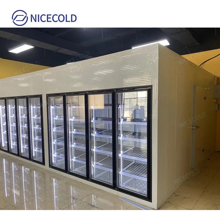 Convenience Store Beverage Fruit Vegetable Walkin Freezer Cooler with Glass Door