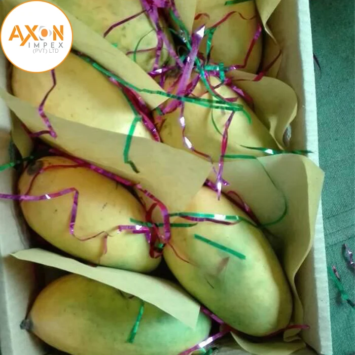 
Wholesale Vietnam Healthy Organic Mango Cheap With 100% Tropical Nature Fruit From Pakistan 
