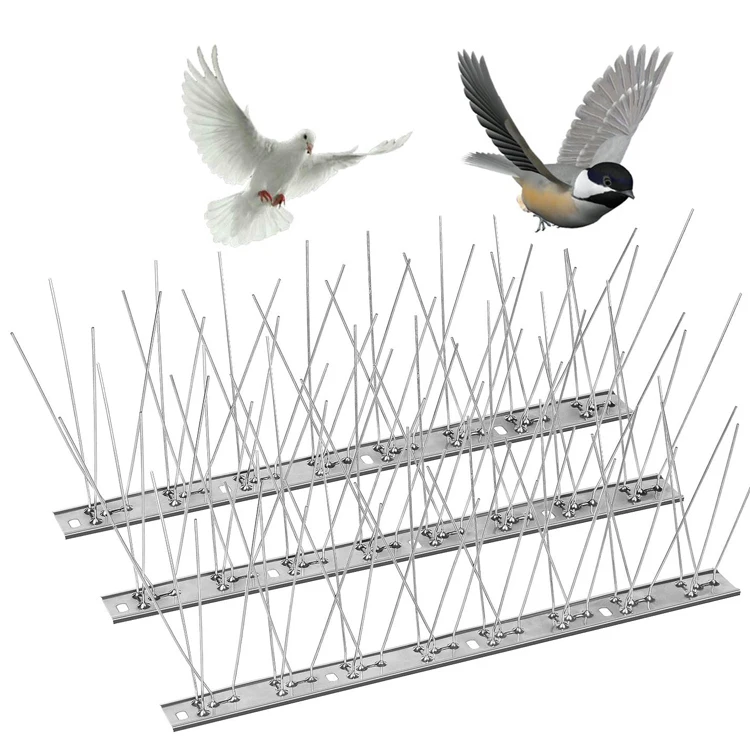 Cheap Price Anti Pigeon bird spike stainless steel bird protection spike
