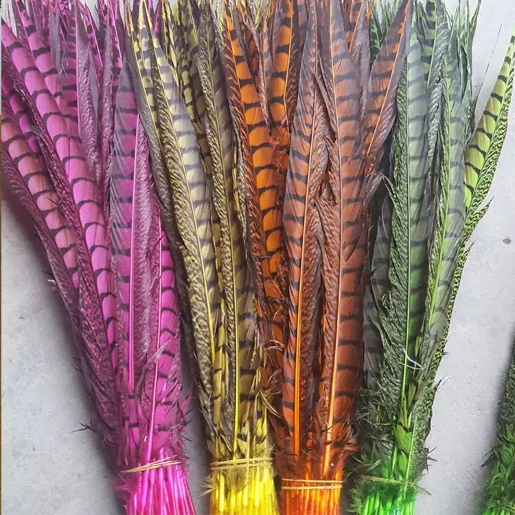 Customized High Quality Bleached Dyed Lady Amherst Pheasant Tail Feathers