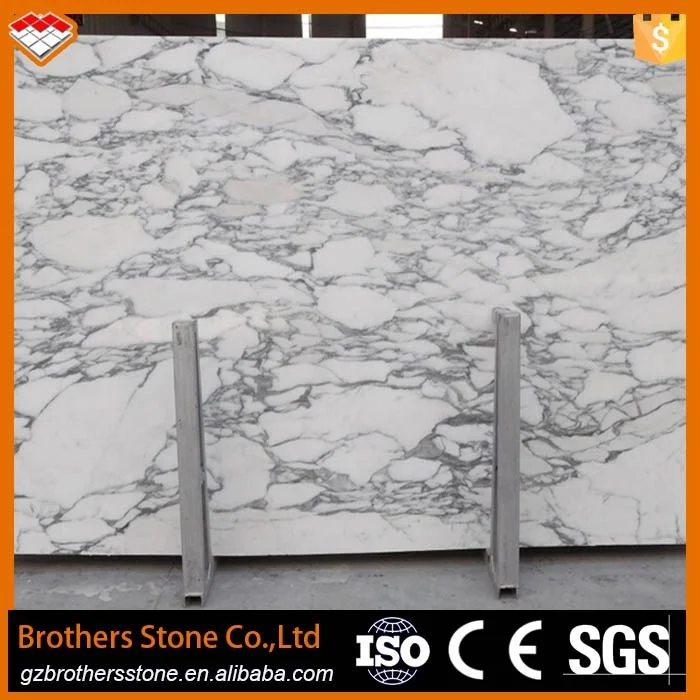 Newest Design Italy White Marble Stone Arabescato Corchia Marble Slab  for Bathroom Basin Countertop