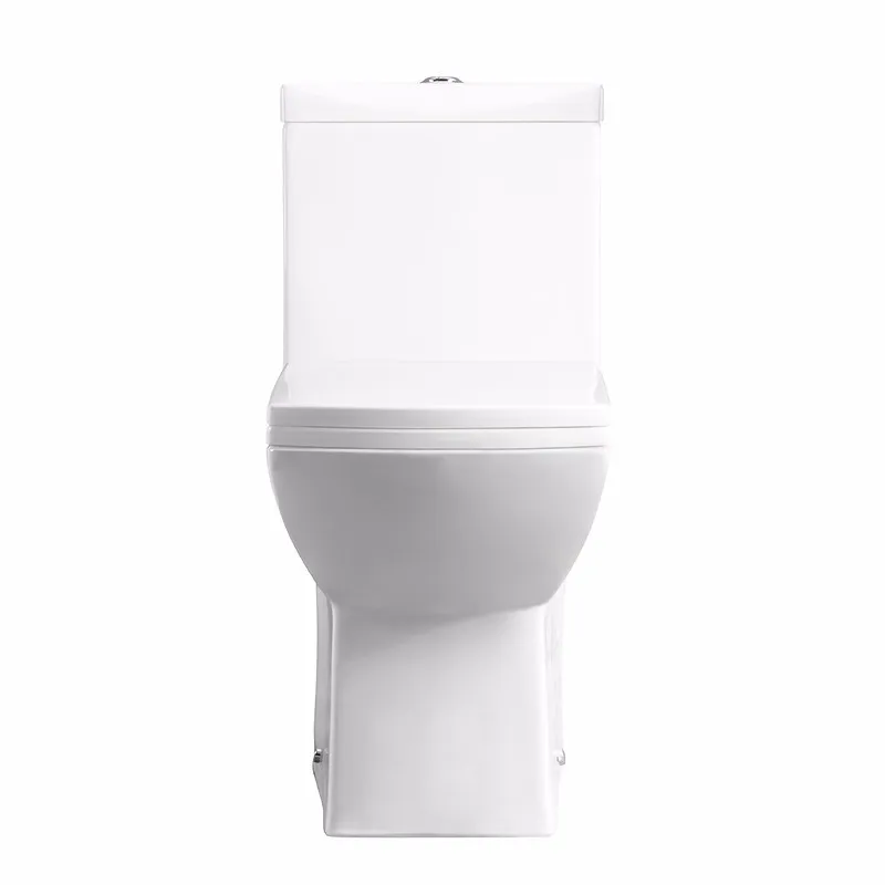 Western modern sanitary ware water conserving dual flush one piece porcelain toilet
