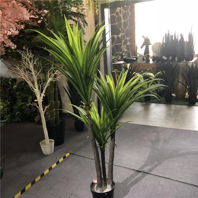 Factory wholesale artificial 3 trunks dracaena fragrans bonsai green plants for indoor decoration