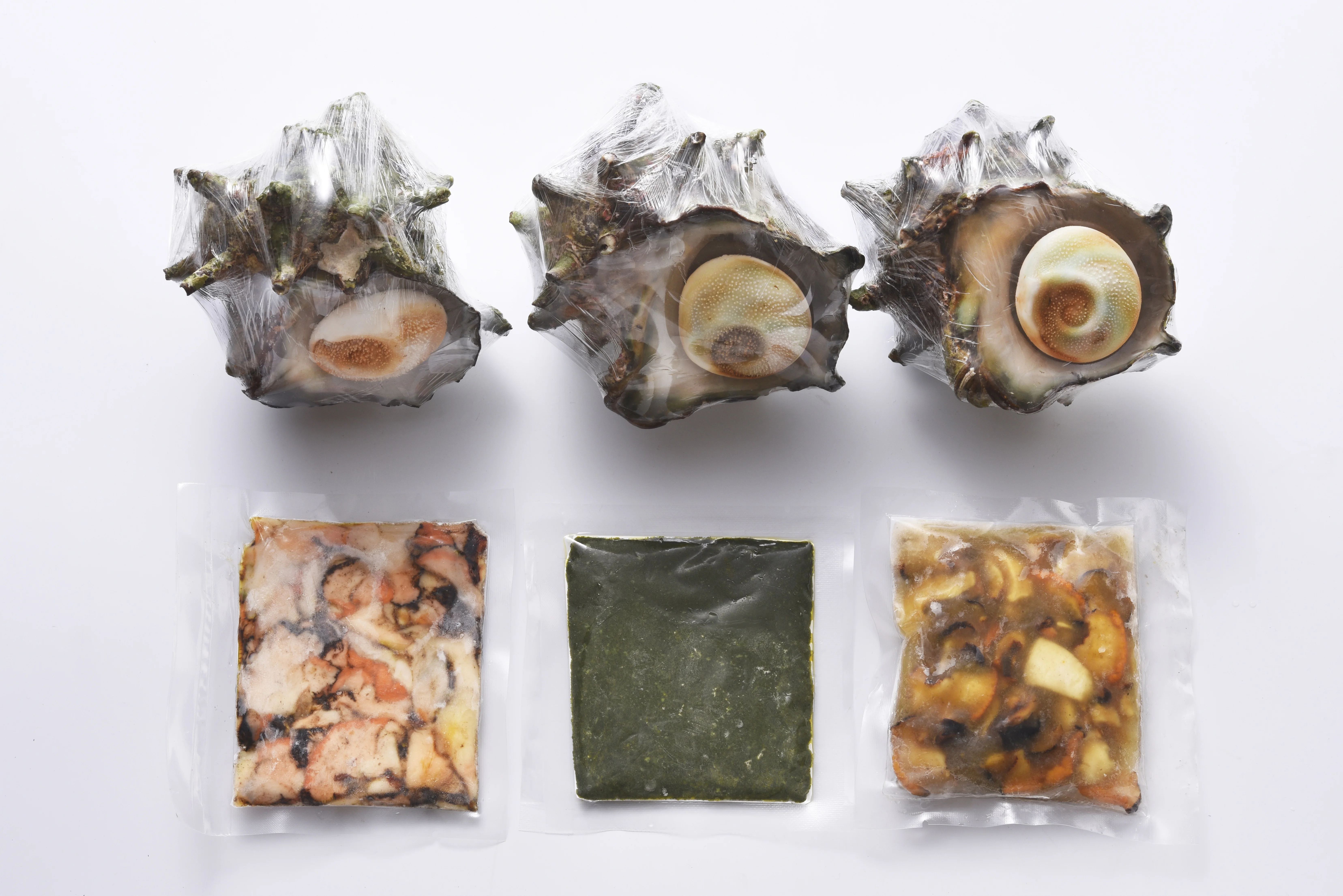 Seasonal rare delicacy gift box version natural frozen conch meat
