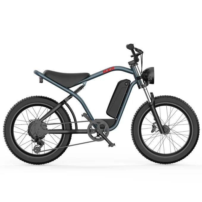 750W fat tire retro ebike for adult