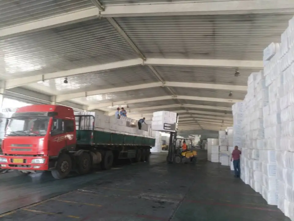 Cotton linter pulp