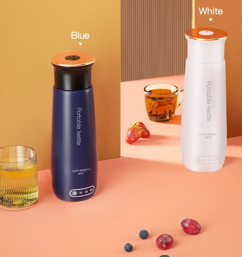 Ranbem Mini Electric 12V Hot Travel Kettles Mounted Water Stainless  With Charger Instant Jug Car Kettle