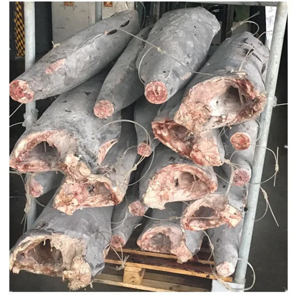 Natural fresh ocean fish frozen  blue marlin fish