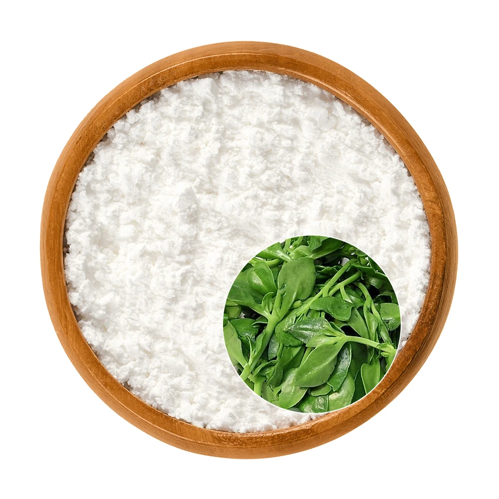 Health Care Supplement Andrographis Paniculata Extract 10% 98% Andrographolide