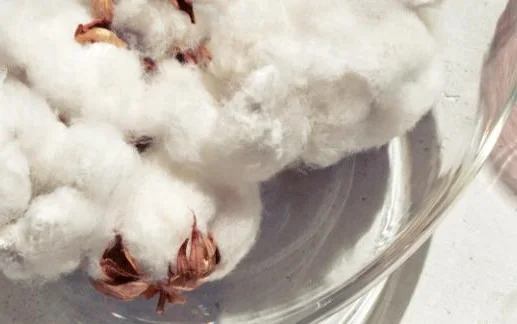 100% Biodegradable Wood Pulp Spunlace Non Woven Fabric for Wet Wipes