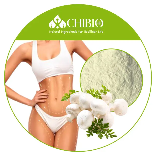 Aspergillus Niger Chitosan Powder of natural origin for weight maintenance