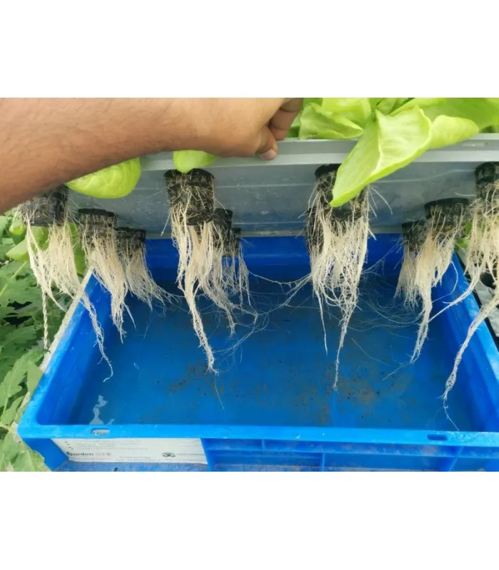 DWC Aquaponics фермерские теплицы Гидропоника сцепляющий плот гидропонная растущая кровать плавающие системы