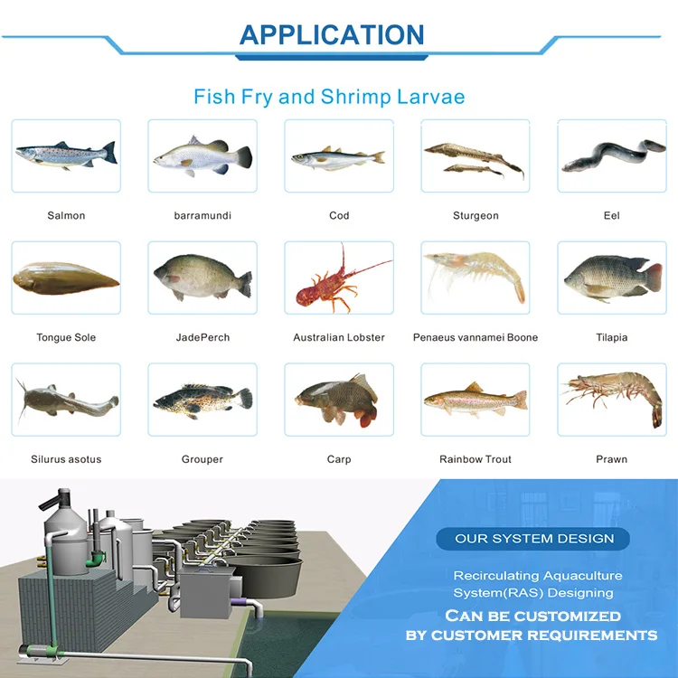 Wholesale price OEM factory customized durable indoor tilapia ras recirculating aquaculture system