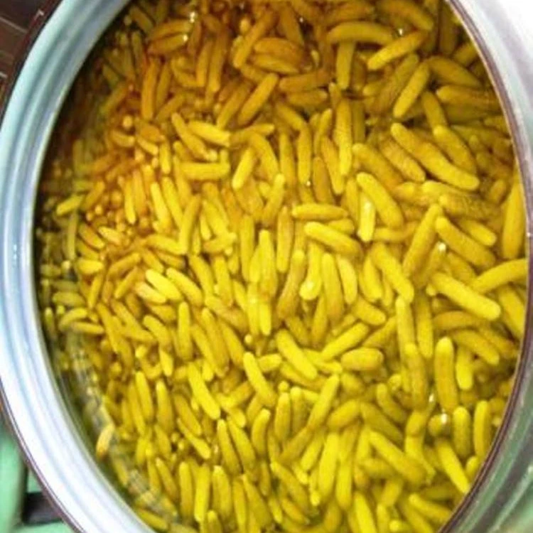 
Gherkins Exporters in Salt Fermented 